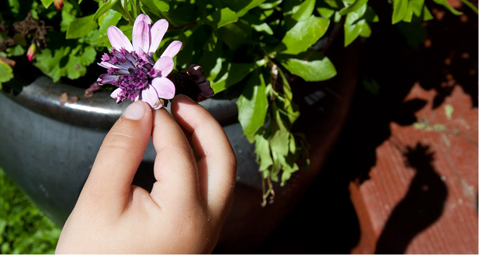 Kvindehuset i Lyngby